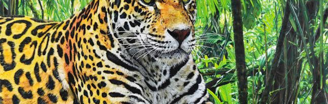 LEOPARD IN THE JUNGLE