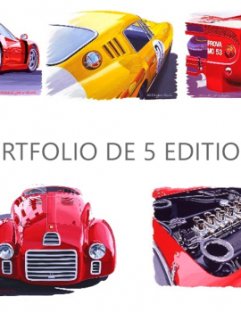 PORTFOLIO DE 5 EDITIONS